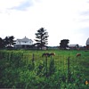 This was my farm I bought pd 27K !