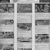 1950 Toys & Novelty Advertisement