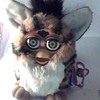 My Cute Little Furbies