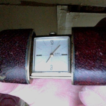 purse watch?