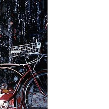 Ok, Marcobabe 13, I will take you up on your dare. Christmas past. - Photographs