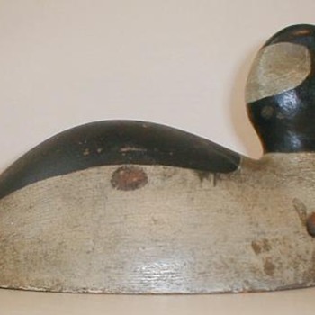 'Markham Rig' bufflehead drake, c. 1900