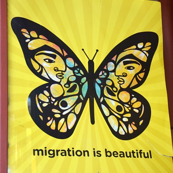 Migration is Beautiful - Poster - Posters and Prints