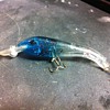 Unknown Fishing lure Please Help