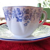 Shelley Tea Cup and Saucer