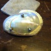 Cameo style Carved Seashell