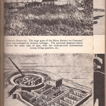 lost guns of Jersey