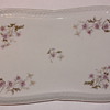 Austrian Hand Painted Small Platter (LS&S Carlsbad?)