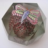 BOHEMIAN BUTTERFLY 19th CENTURY PAPERWEIGT 