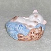 Kitten in a Basket