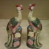 BEAUTIFUL BIRDS