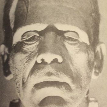 Frankenstein  Book  - Books