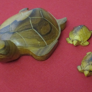 Family of Turtle's