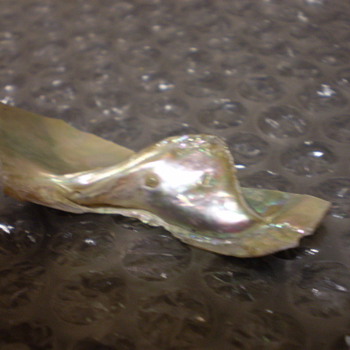 Genuine Abalone Pearl - Fine Jewelry