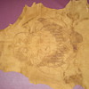 CALIFORNIA 1928 EARLY BRANDED LEATHER HIDE