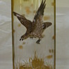 Moser bird of prey over pond Clear to a citrine color