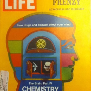 Life Magazine: Football Frenzy and Chemistry of Madness - Paper