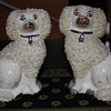 STAFFORDSHIRE WARE ENGLAND ROUGH COAT DOGS