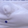 Atterbury Victorian Milk Glass Glove Box - Dove in Hand