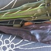 Stradivarius Violin