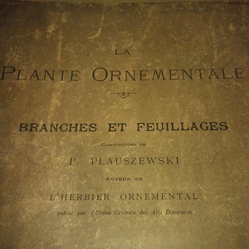 La Plante Ornamentale Branches Et Feuillages 
