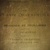 La Plante Ornamentale Branches Et Feuillages 