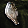 Japanese Silver Snail Dish