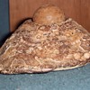 Native American Indian Mortar & Pestle ?