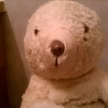  Found bear in grandmothers attic,HELP ME??!?? - Dolls