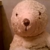  Found bear in grandmothers attic,HELP ME??!??