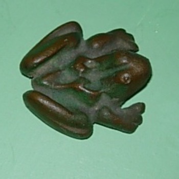 Anatomically 'in'correct frog