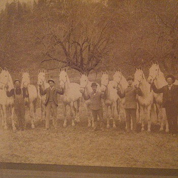 imperial cabinet card - Photographs