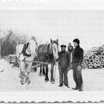 Winter work - Photographs