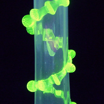 Unknown Opalescent & Vaseline Czech or English Rigaree Vase - Art Glass
