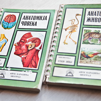 Two Anatomy books
