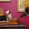 G&T Trade-mark gramophone 1897, with records and storage box.
