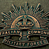 Rising Star 'Hat badge'.