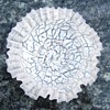 Sweet Victorian Small Bowl