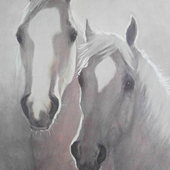 Horse is a mammalian animal - Animals