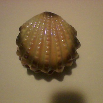 CLAM SHELL TRINKET BOX