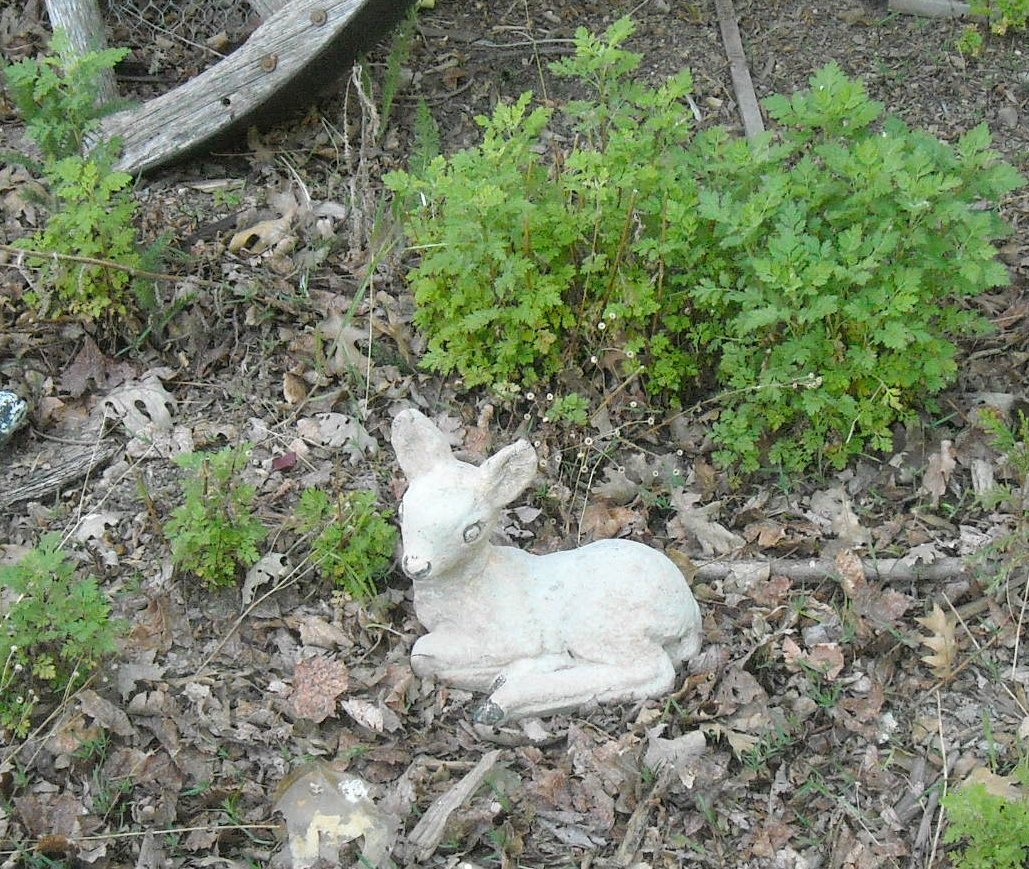 Small Concrete Deer Lawn Ornament Collectors Weekly
