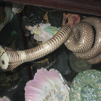 my Cobra, it is real