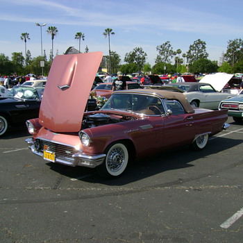 57 T bird