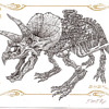 Emek Dino Card