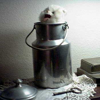 Musical wind up "cat in a milk pail' toy