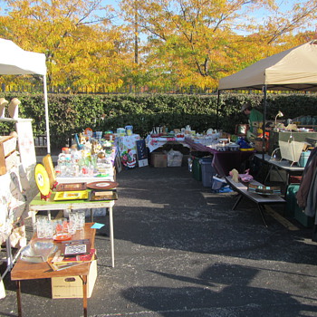 Flea Wars