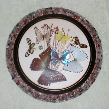 Brazilian Butterfly Wall Plaques - Animals