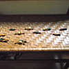 Unusual beads--very long strand