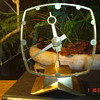 Clocks: Retro, Industrial, Bakelite, commercial