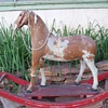 Horse Hair Rocking Horse.... late 1800's German made?